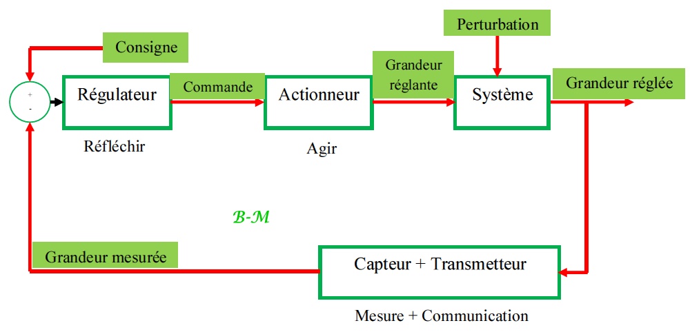 Organisation fonctionnelle d’une régulation (schéma fonctionnel)